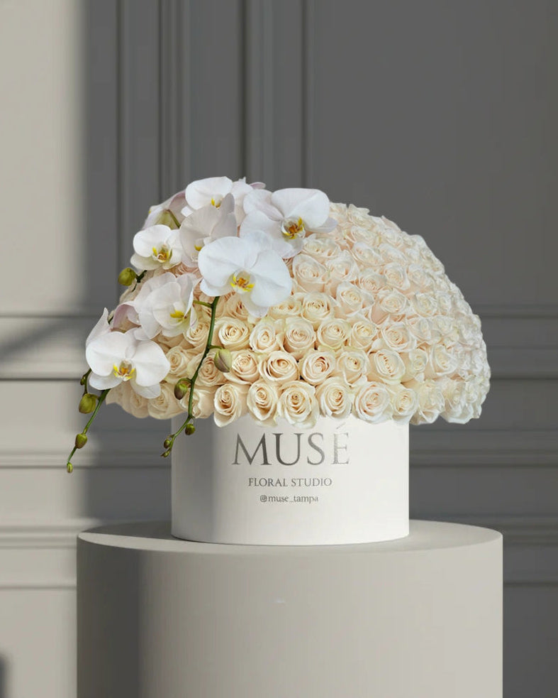 Muse Signature White Rose Box