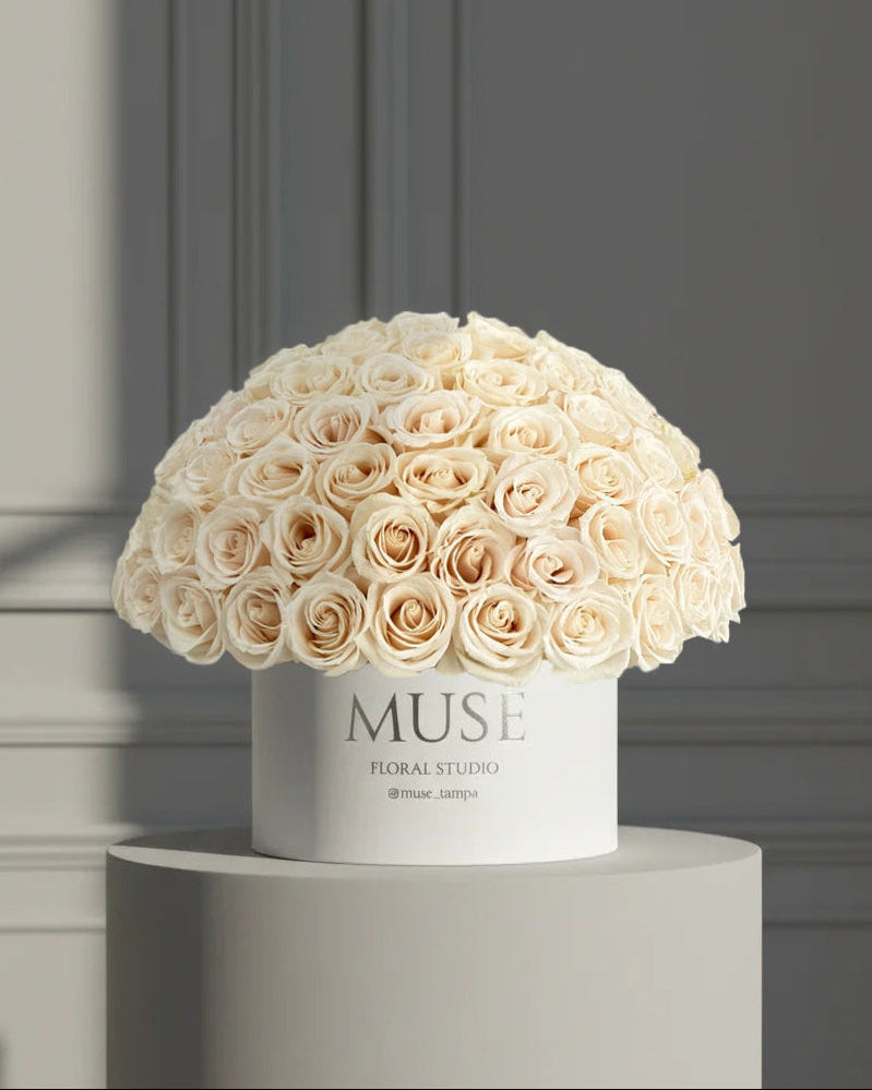 Muse Rose Classic Box