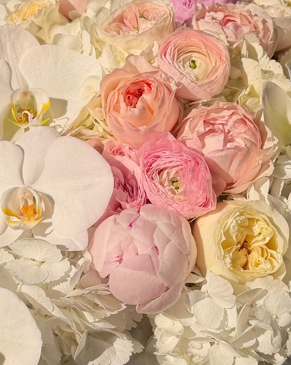 Orchid Blush Luxe Box