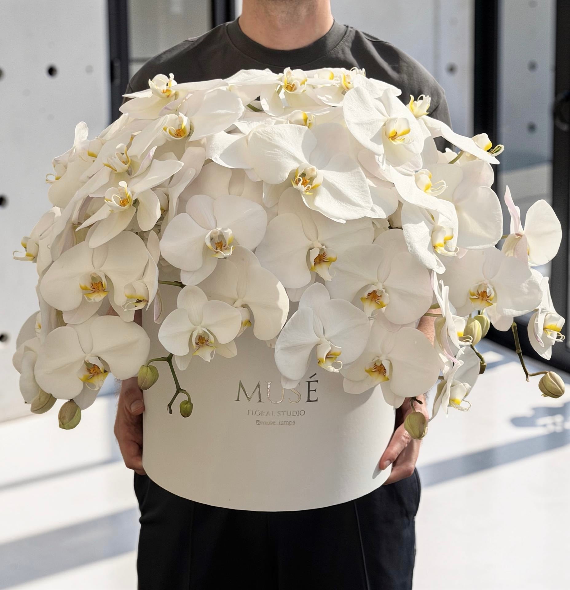 Muse White Orchid Cloud