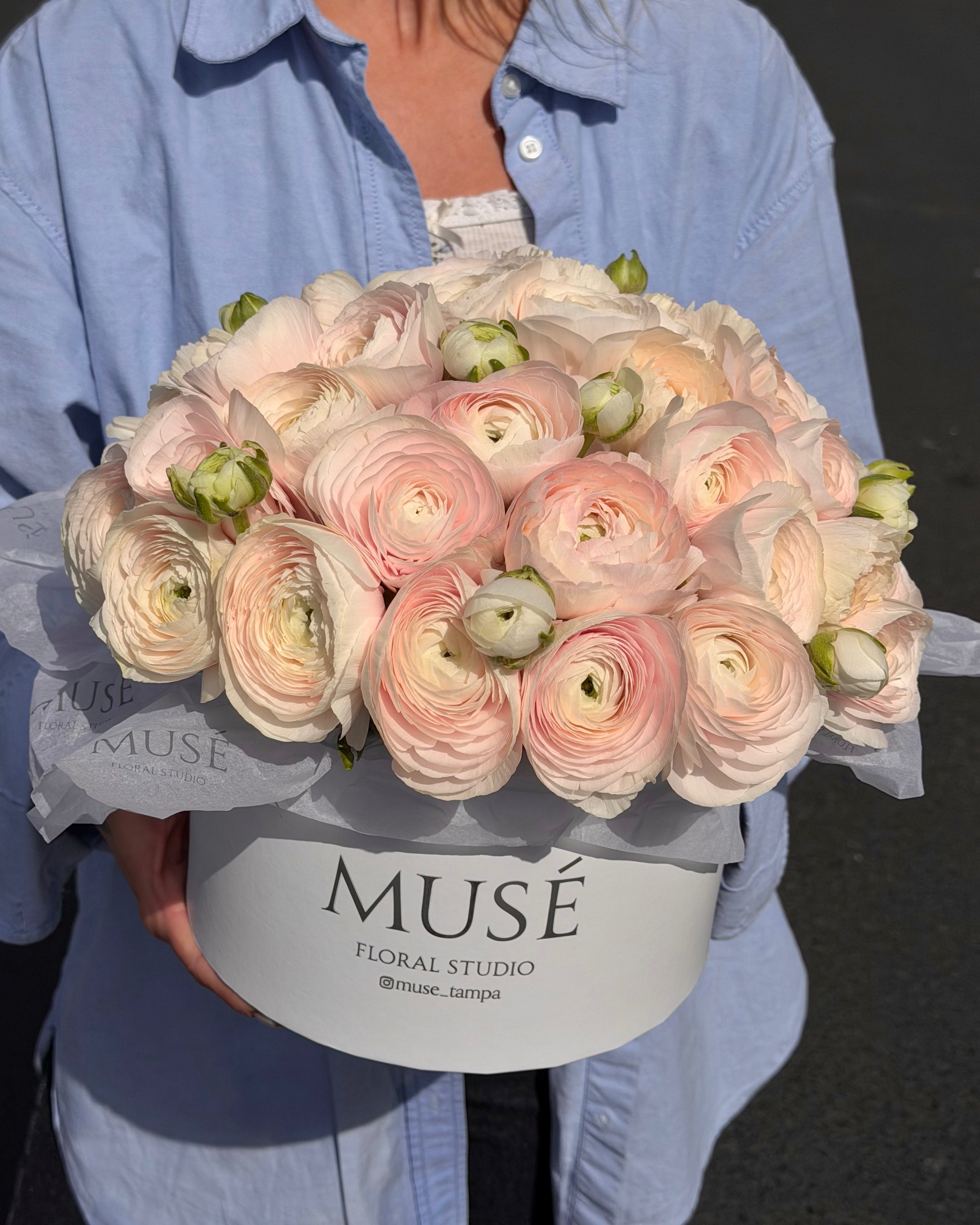 Muse Ranunculus Blush Box
