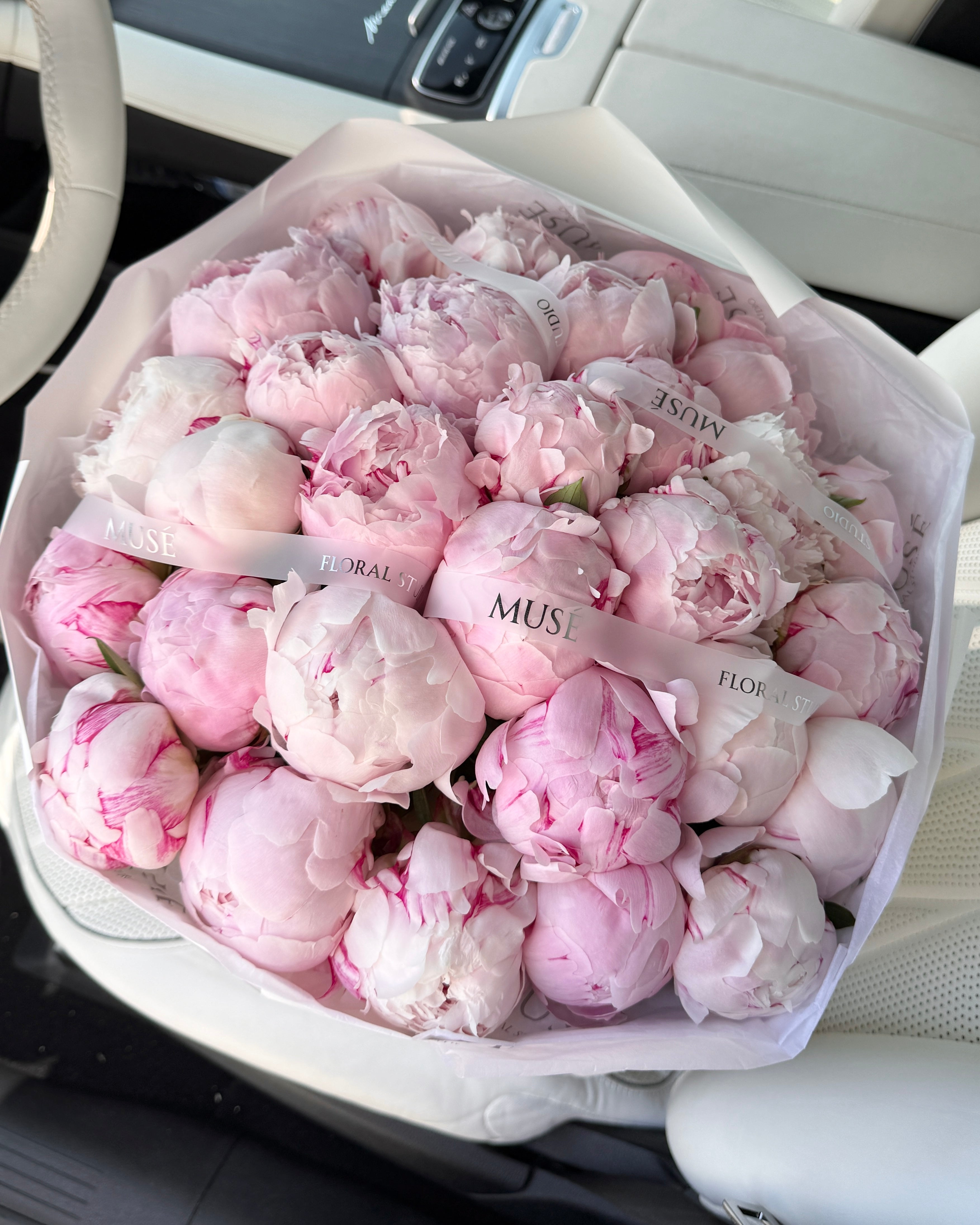 Muse Signature Peonies - Elegant Edition