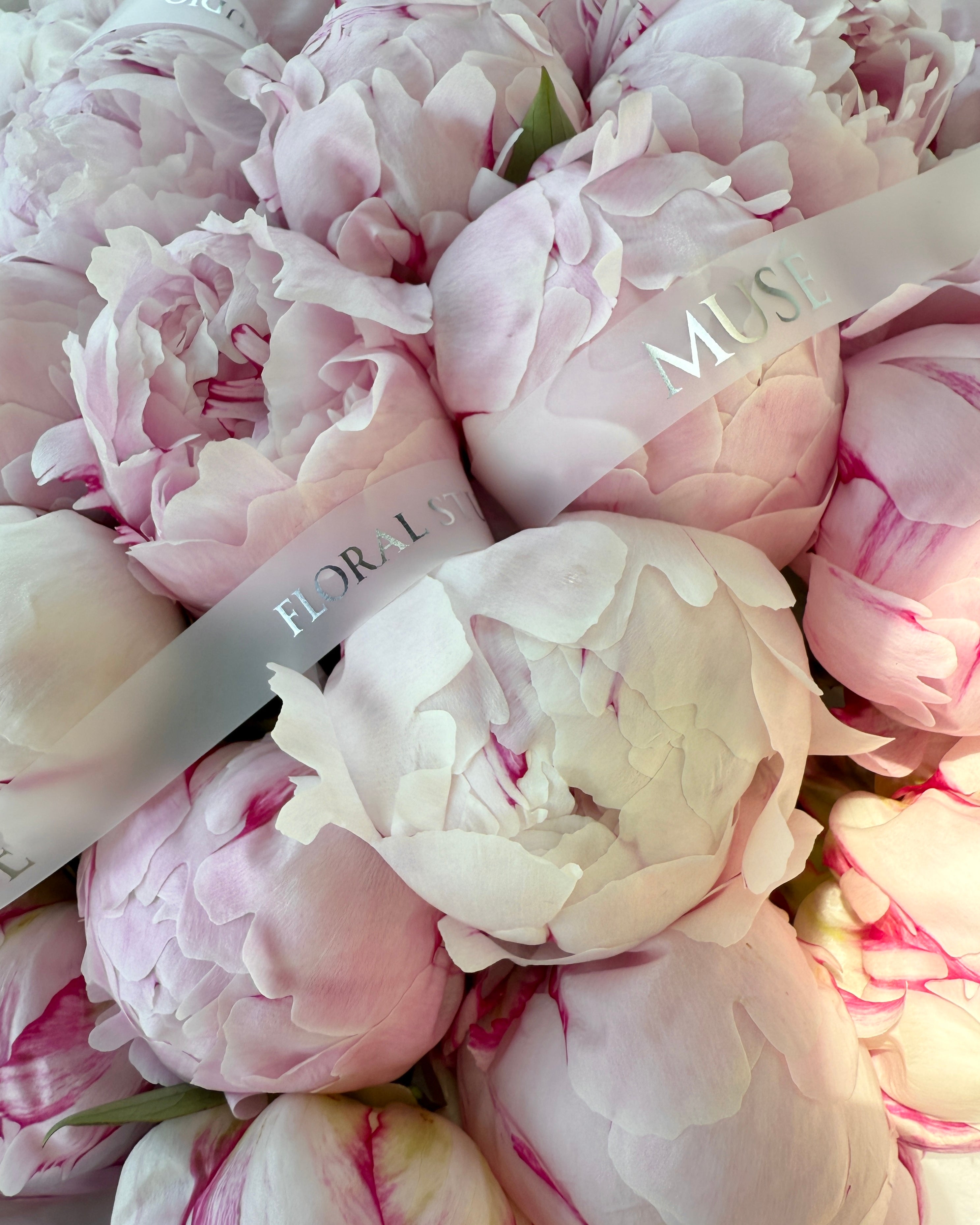Muse Signature Peonies - Luxe Edition