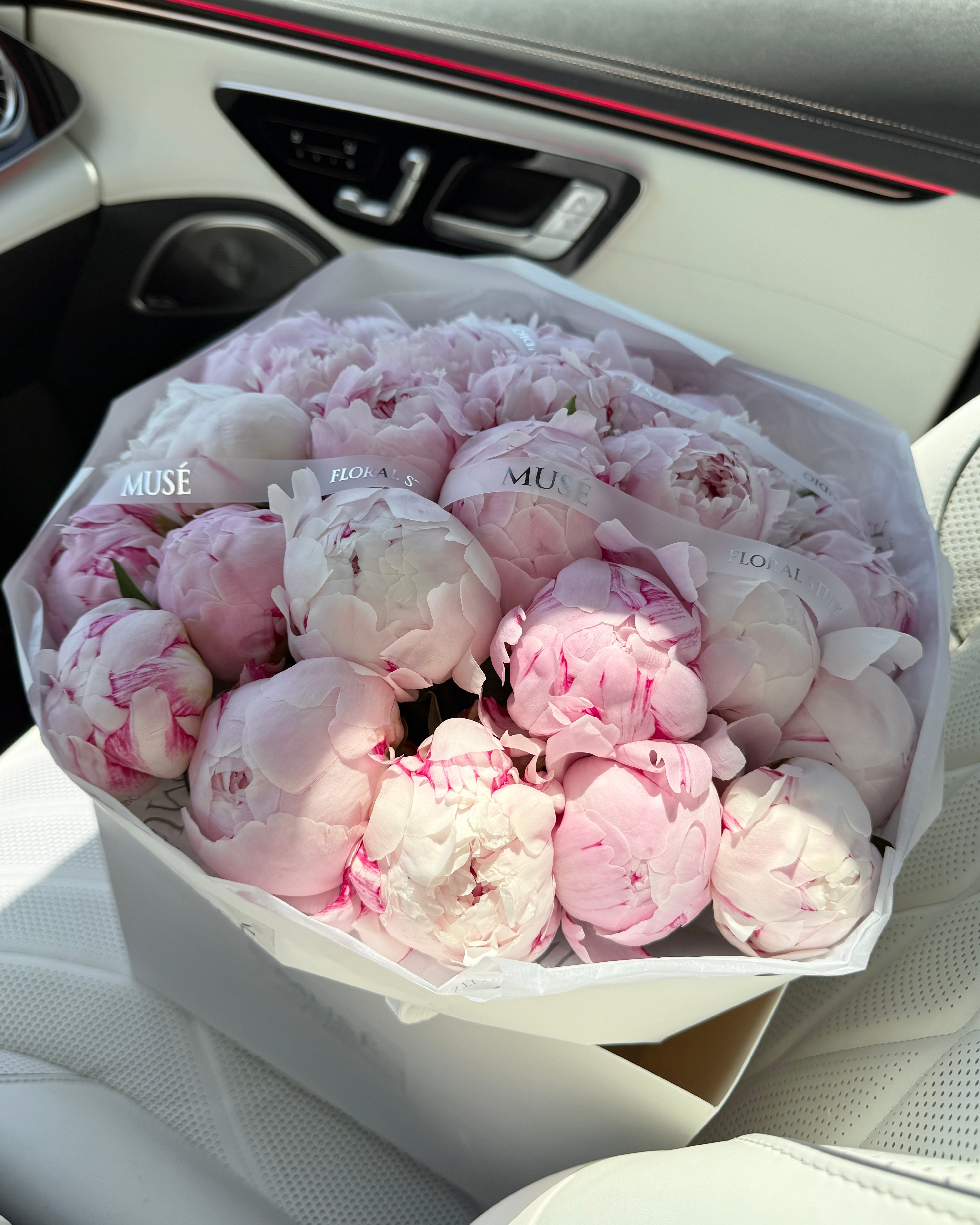 Muse Signature Peonies - Elegant Edition