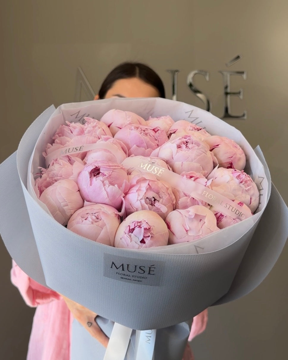 Muse Signature Collection Muse Signature Peonies - Classic Edition