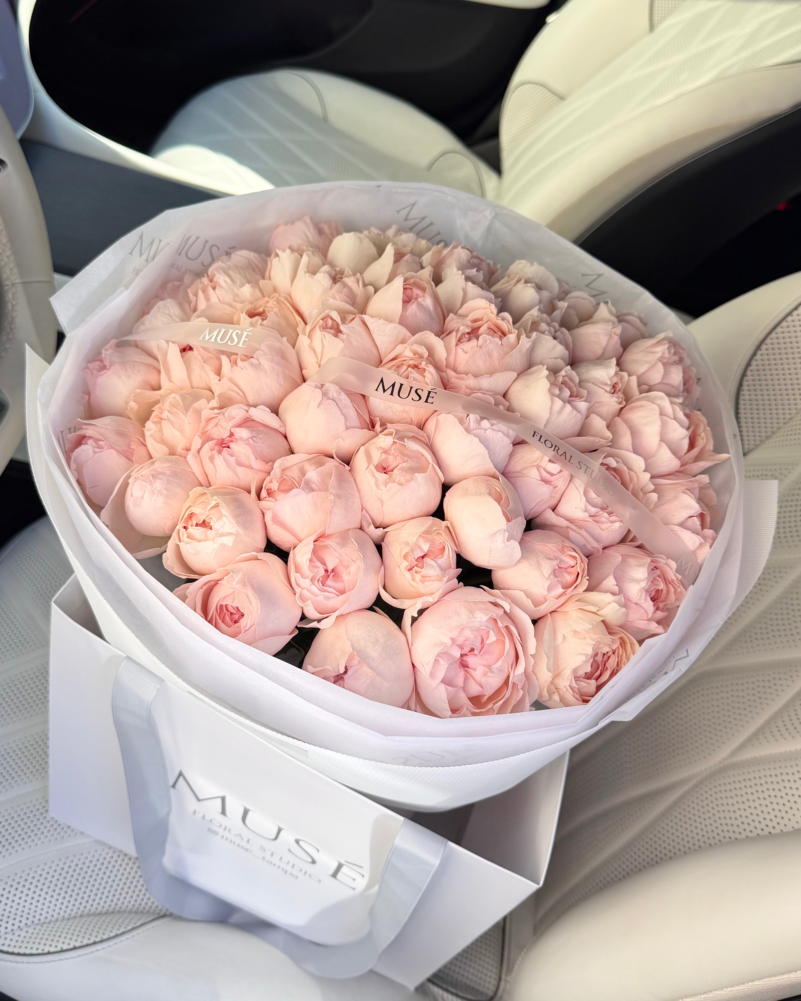 Blush Signature Garden Roses