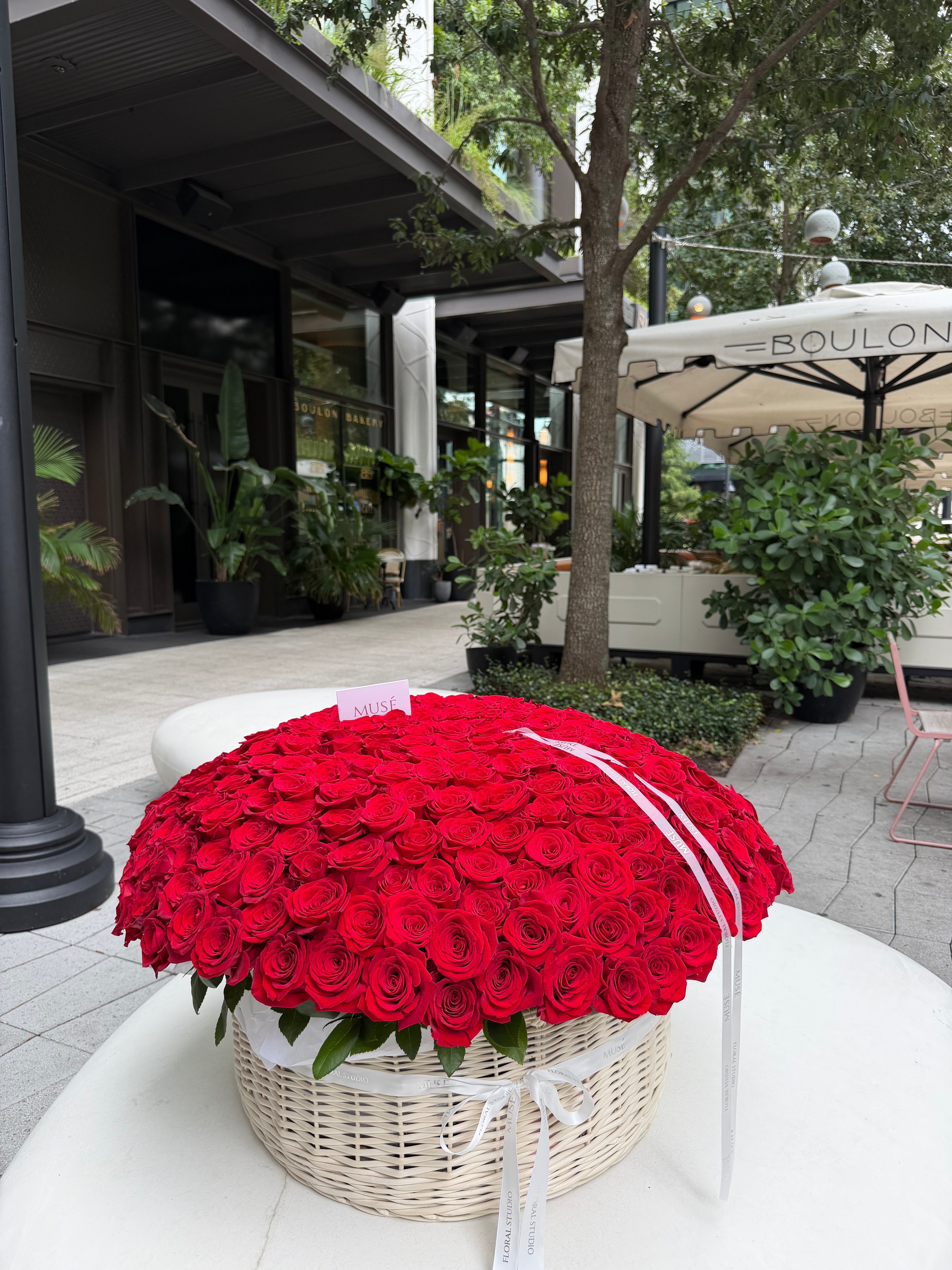 Muse 300 Red Rose Basket