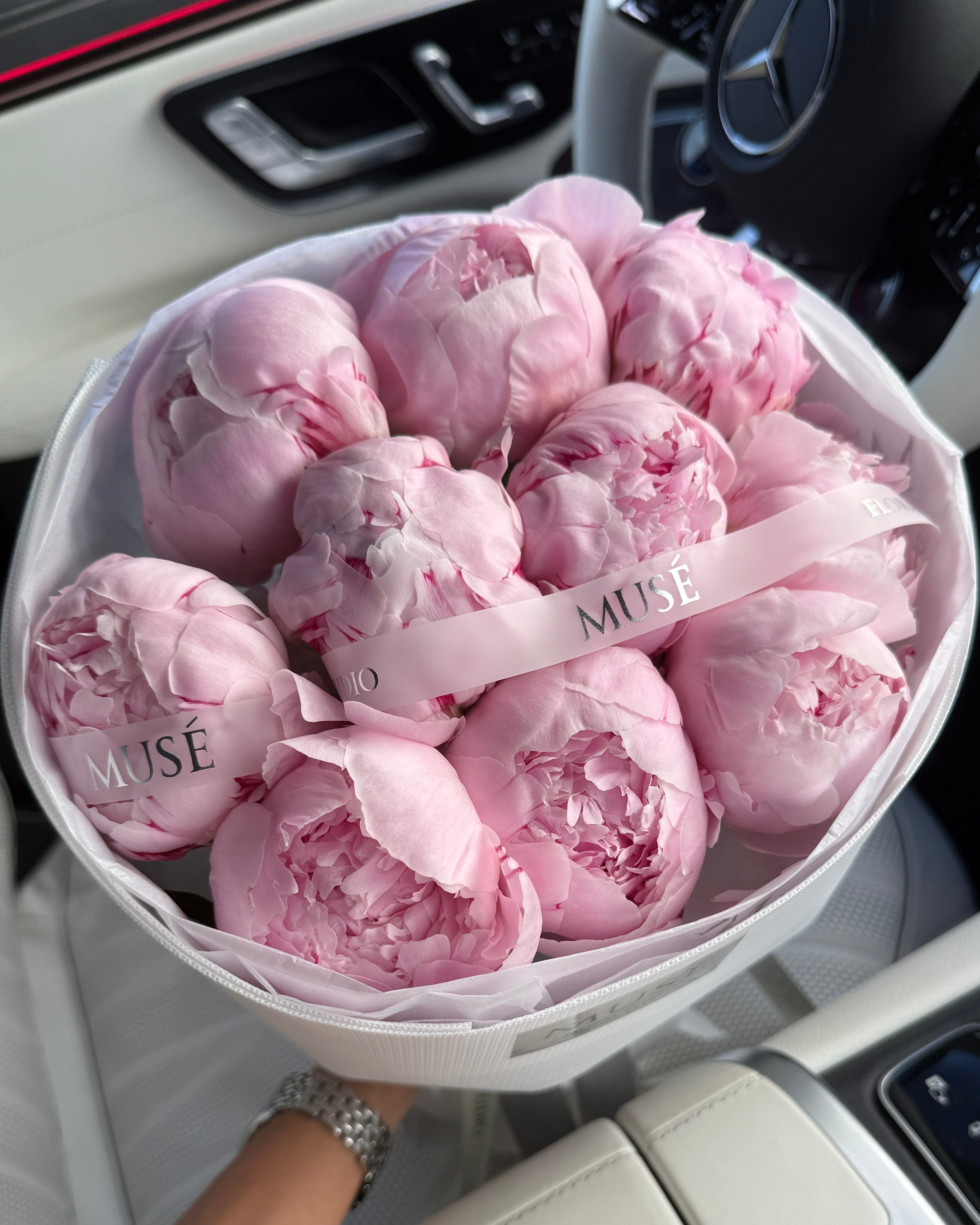 Muse Signature Peonies