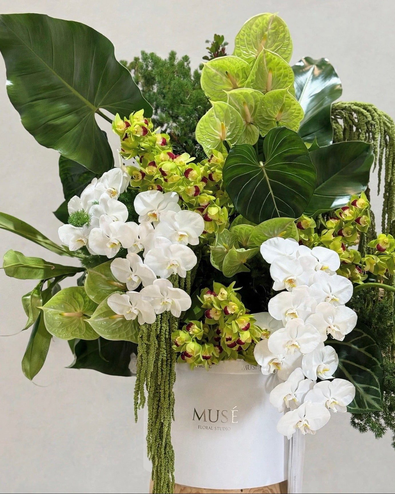 Muse Botanical Grandeur