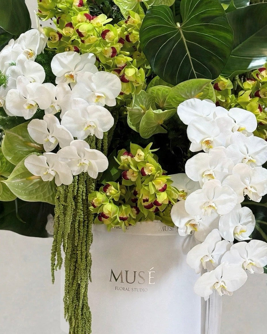 Muse Botanical Grandeur