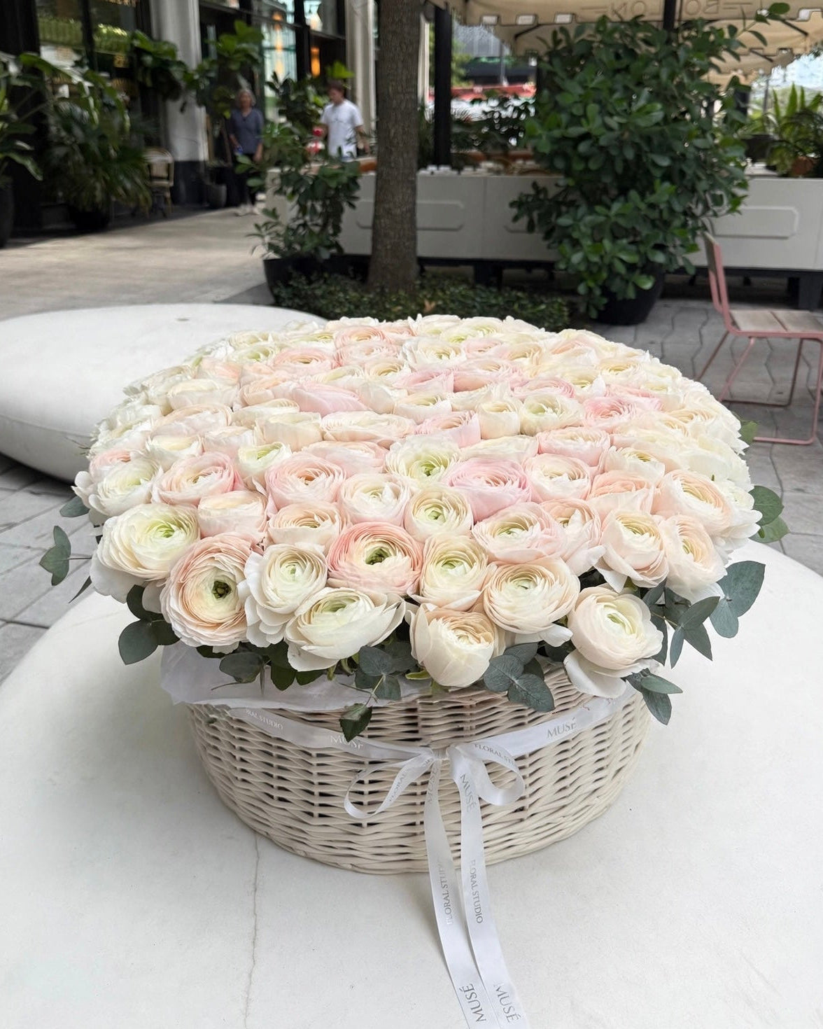 Muse Signature Ranunculus Basket Blush