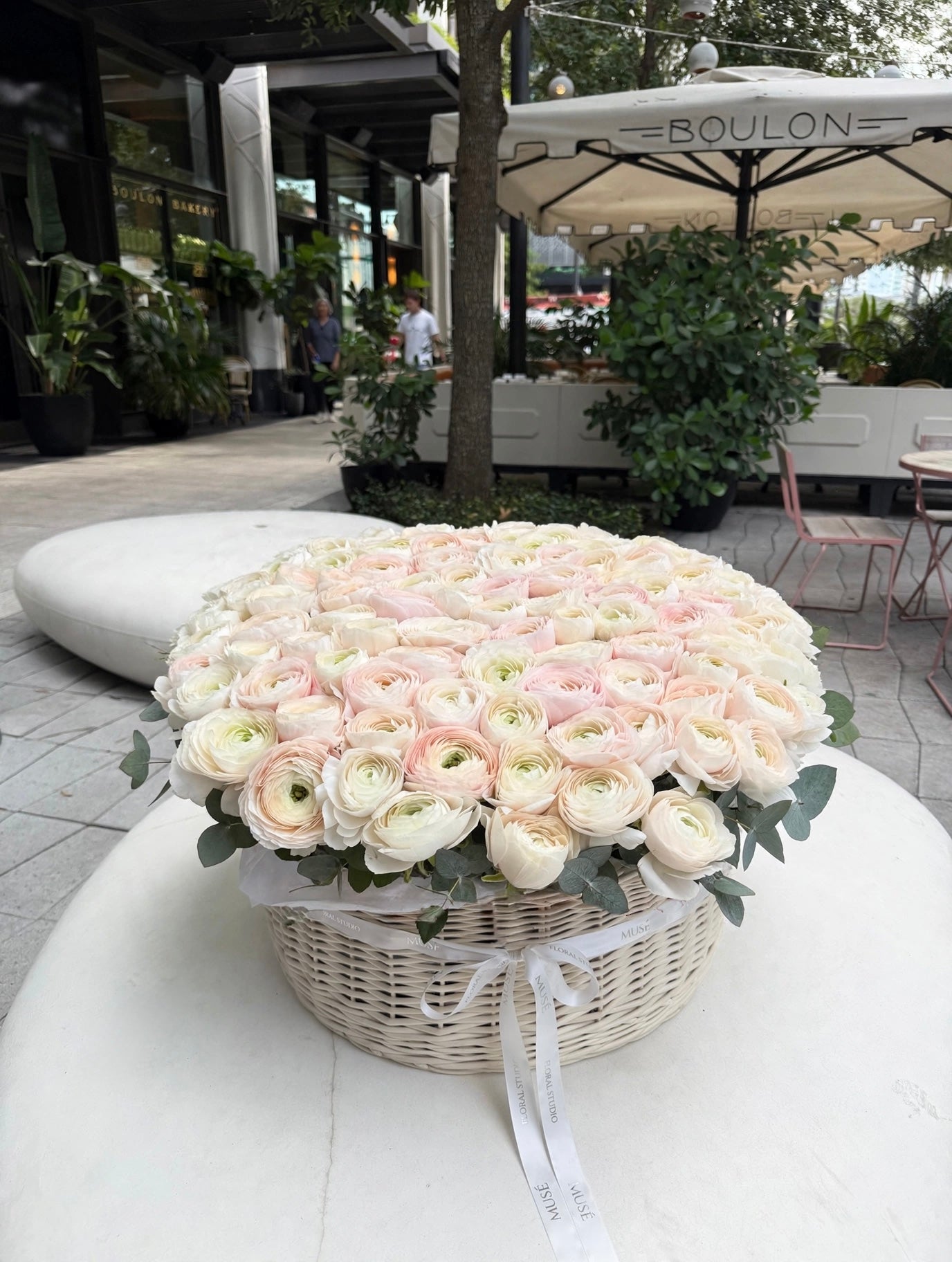 Muse Signature Ranunculus Basket Blush