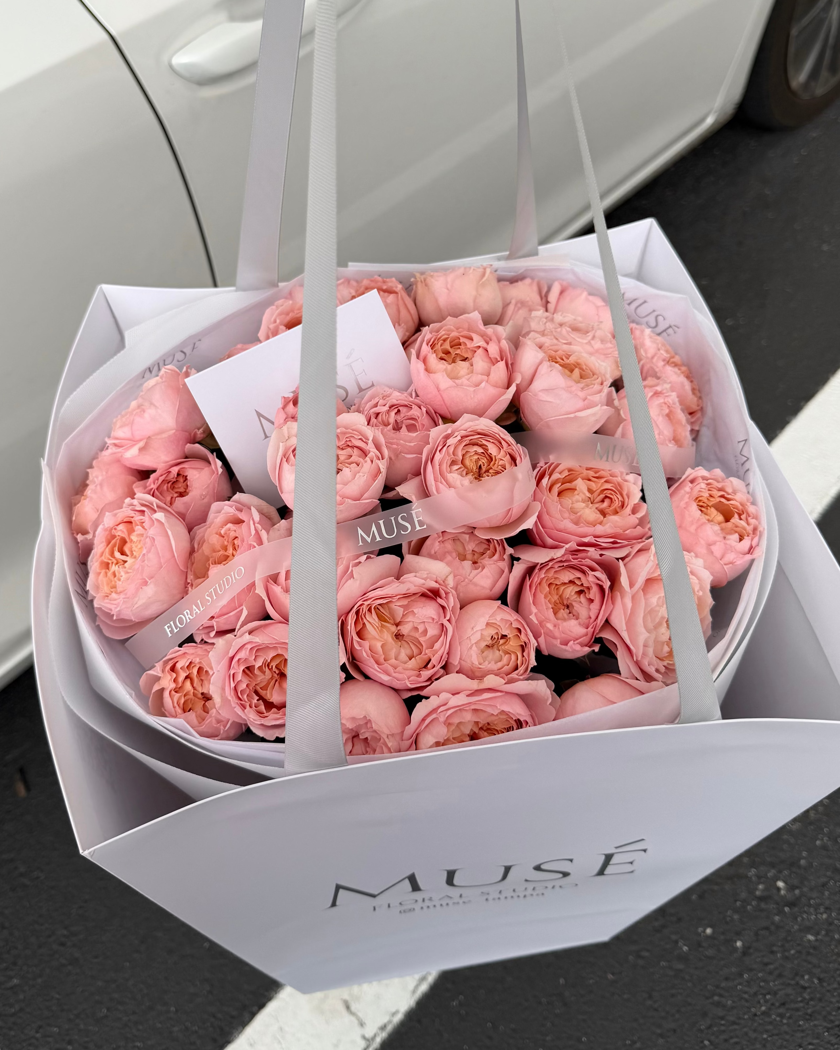 Juliet Spray Garden Roses