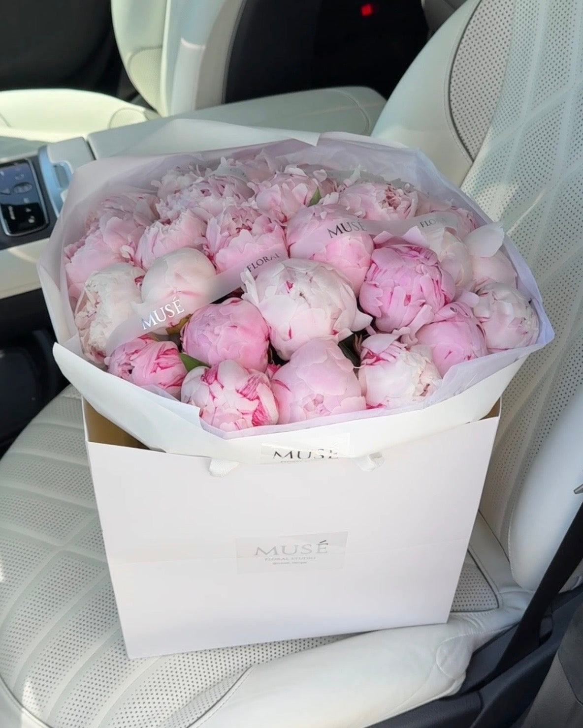 Muse Signature Peonies - Elegant Edition