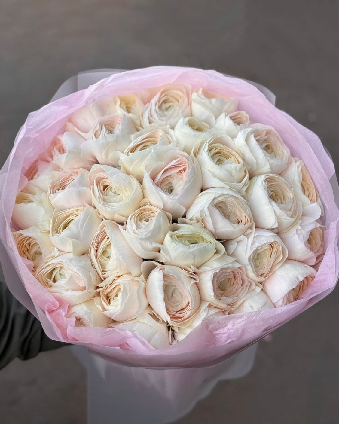 Muse Signature Ranunculus Bouquet