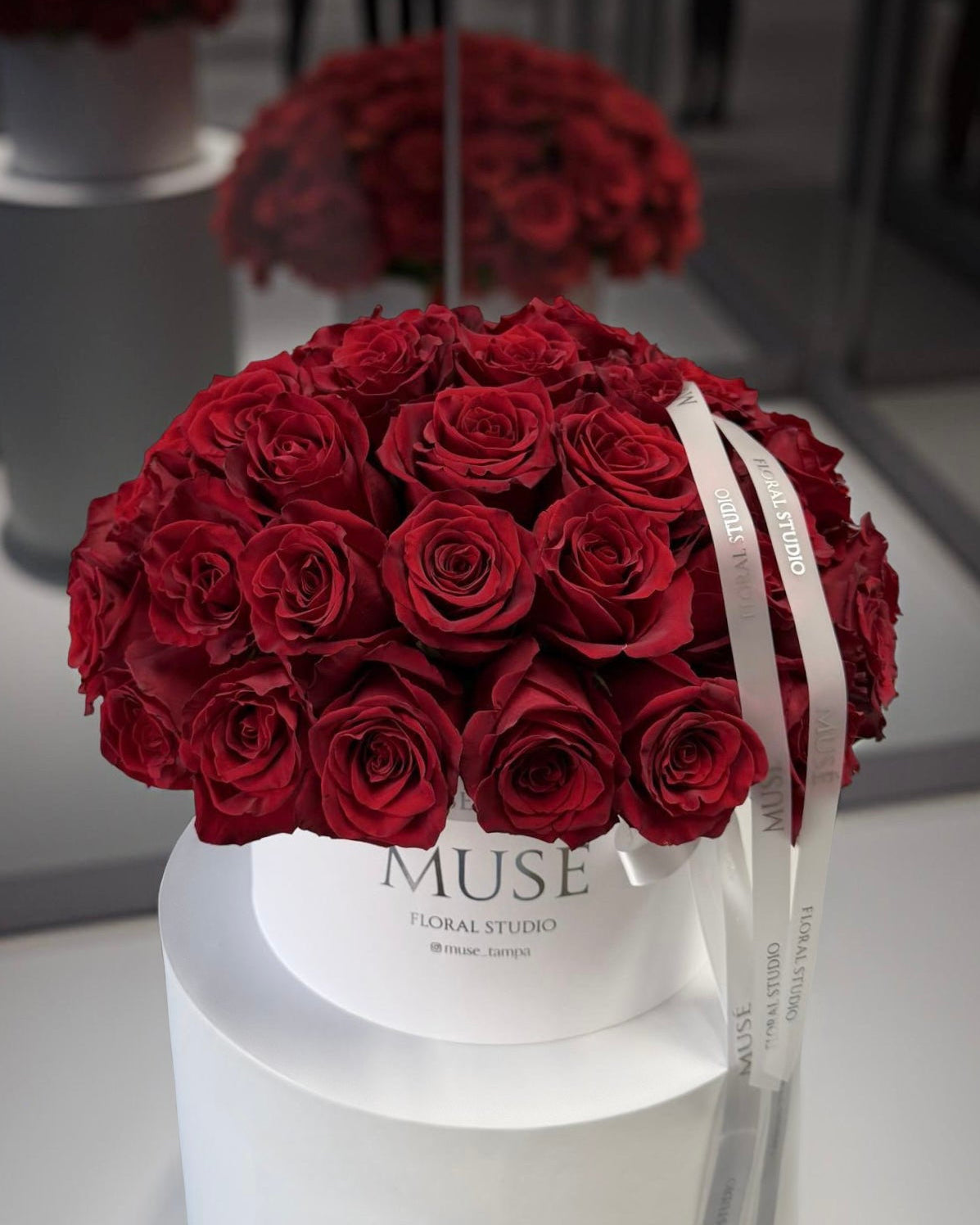 Muse Red Rose Classic Box