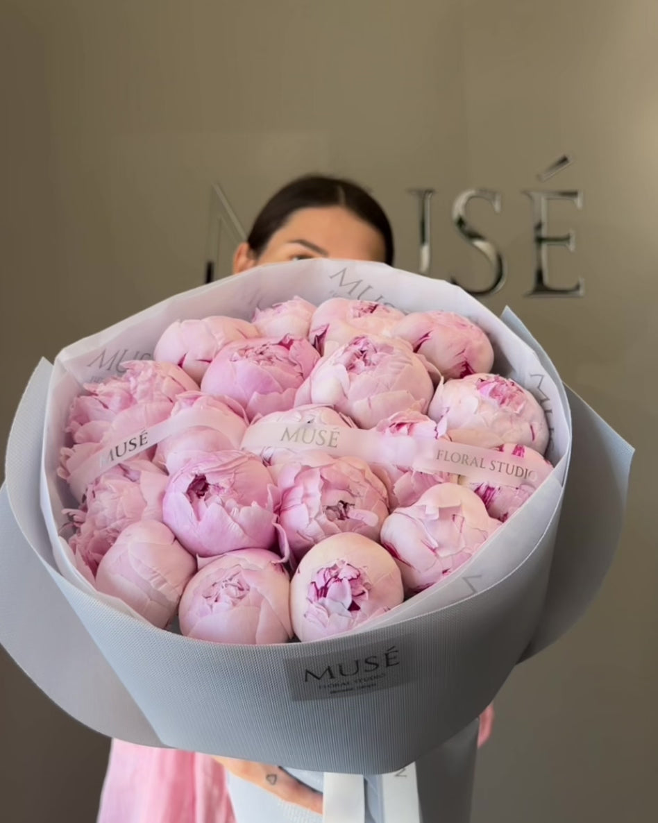 Muse Signature Peonies - Classic Edition